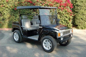 affordable golf cart rental, golf cart rent chula vista golf cart rental 